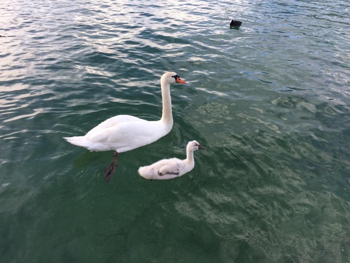 Lac Annecy plage privée, Duplex Baie des voiles Duingt Esterno foto